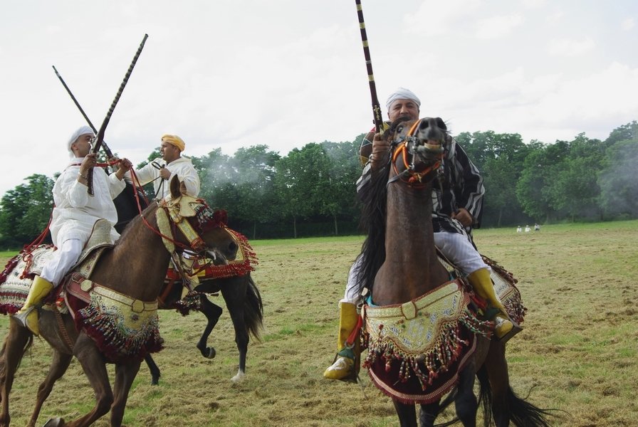 Le Moussem des Cultures 2008 259.jpg